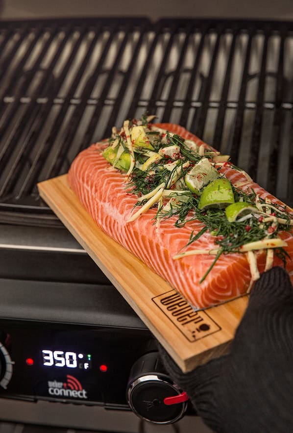 Weber pulse 7